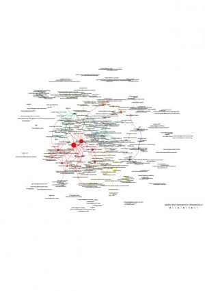Mapa sieci badanych organizacji w raporcie „Charakterystyka relacji środowiska NGO we Wrocławiu”